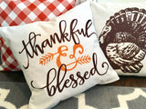 Thankful & Blessed - pillow cover