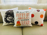 Pumpkin Spice - pillow cover
